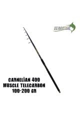 Eurofısh Carnellian Olta Kamışı New 400 Cm